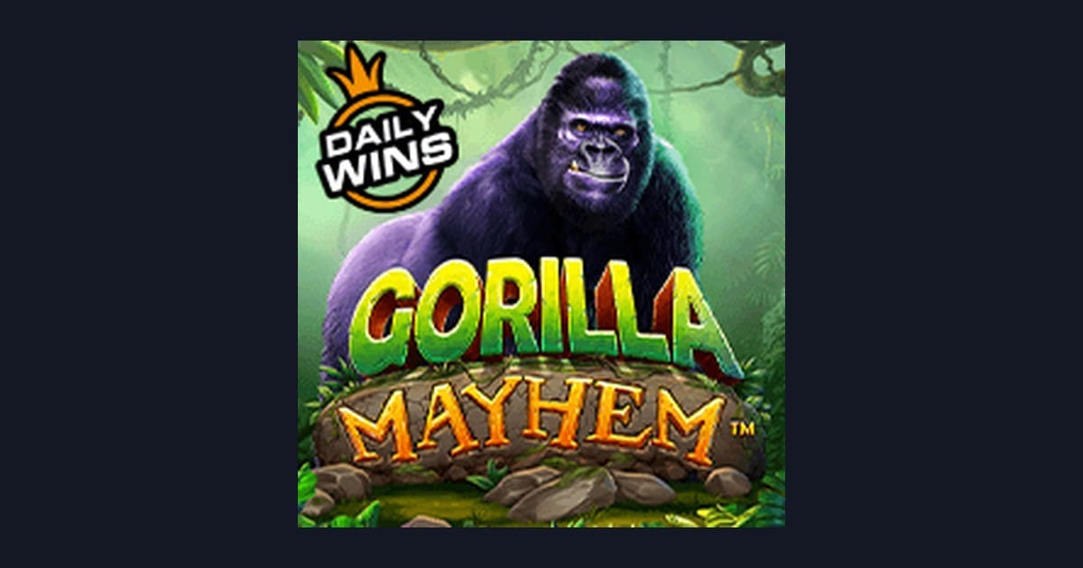 Nikmati Sensasi Seru Gorilla Mayhem dengan Deposit Dana OVO Gopay Mudah